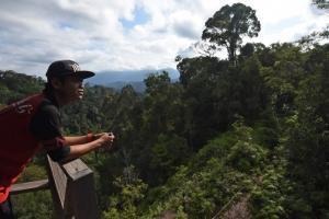 Penjaga hutan Kusterman mengamati suasana hutan dari menara pantau Hutan Adat Wehea di Kutai Timur, Kalimantan Timur, Minggu (14/8). [ANTARA FOTO/ Wahyu Putro A]