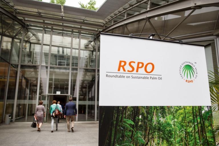 RSPO Banks are Financing NON-RSPO Palm Oil Companies - TuK Indonesia