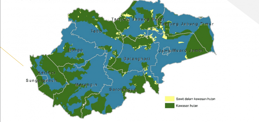 Kontribusi Sawit untuk Penerimaan Negara dan Pendapatan Daerah di Provinsi Jambi Belum Optimal
