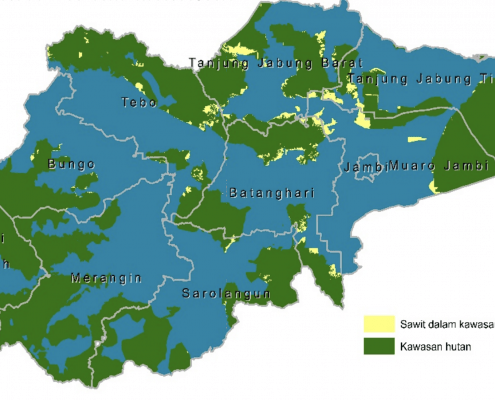 Kontribusi Sawit untuk Penerimaan Negara dan Pendapatan Daerah di Provinsi Jambi Belum Optimal